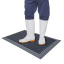 Dezinfekční rohož HygiWell 55x80x1,6cm